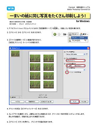 1܂̎ɓʐ^悤I