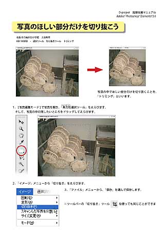 ʐ^̂ق؂蔲