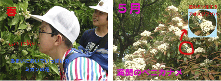 子どもの作品