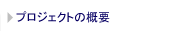 �v���W�F�N�g�̊T�v
