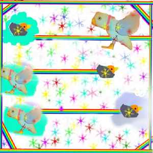 ��ɂ������ �����^�� ���l�s������䏬�w�Z ���w�Z�S�N
